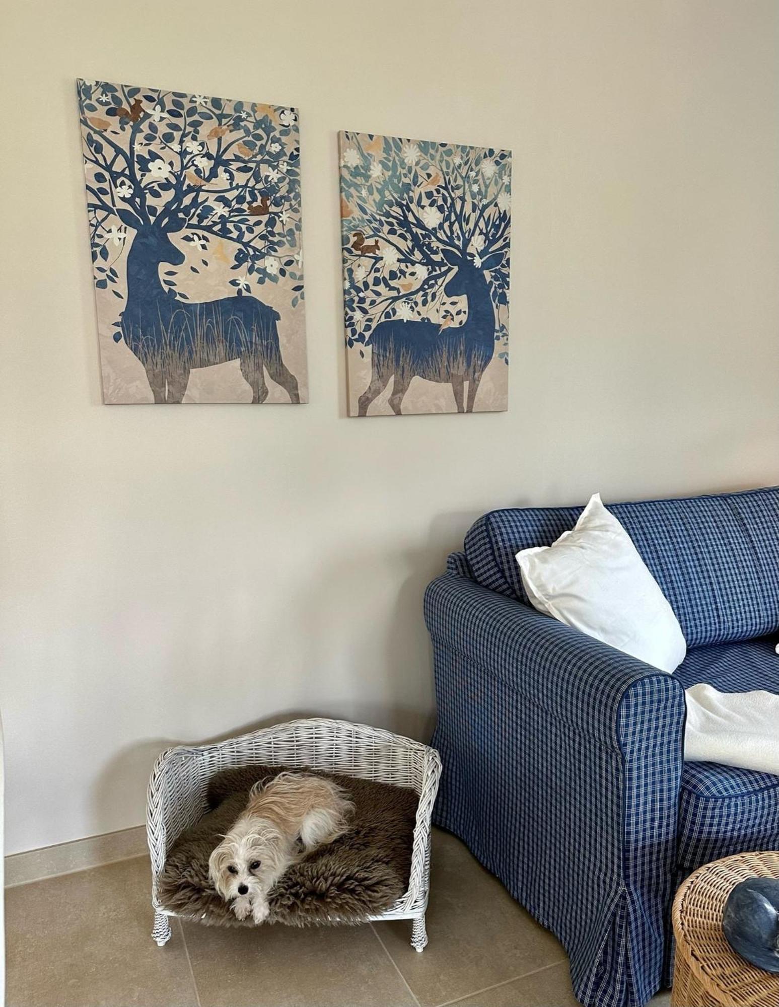 Ida Apartment *
